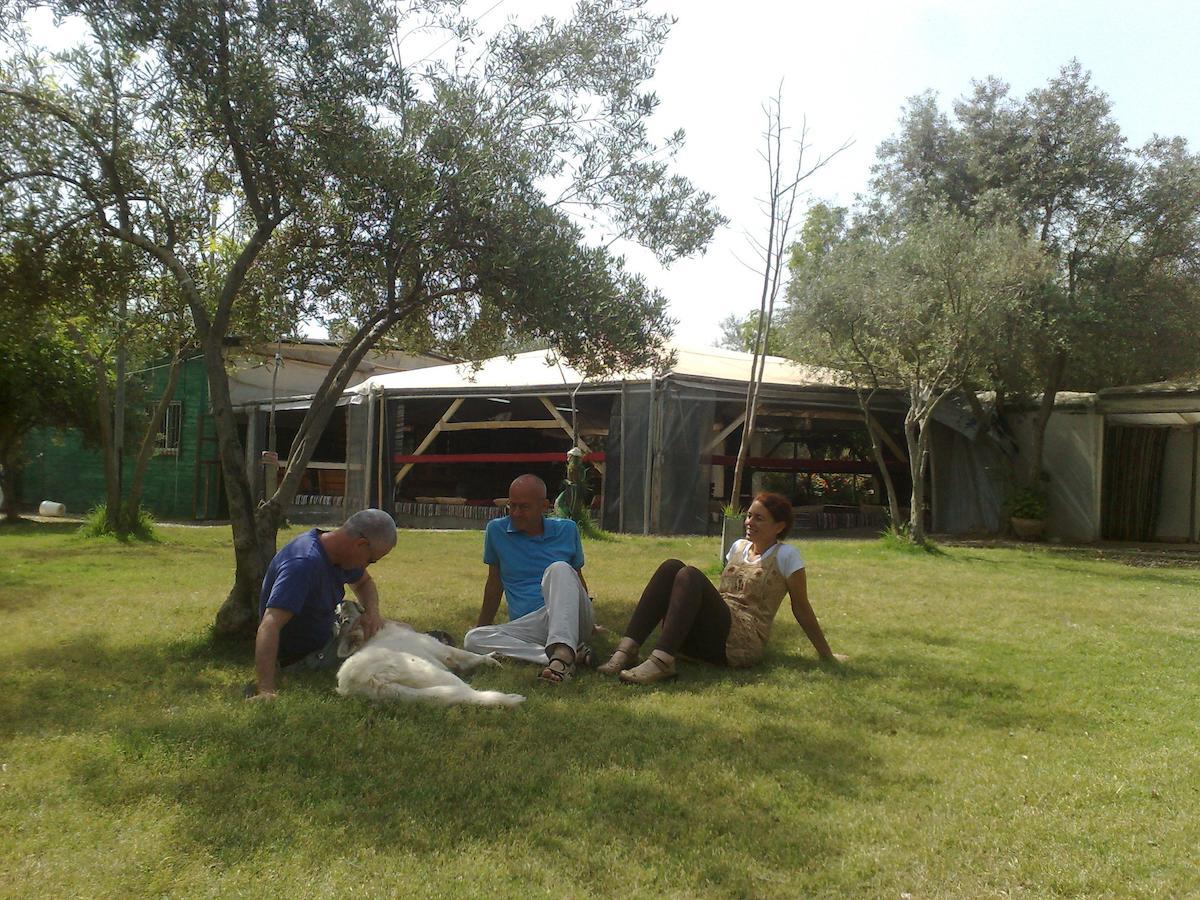 Peace Tent Villa Kfar Rut Стая снимка