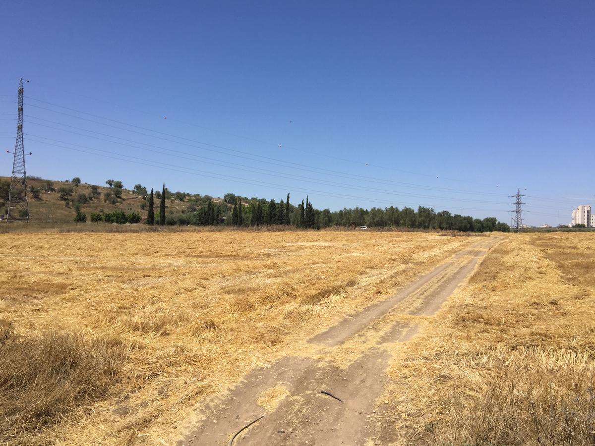Peace Tent Villa Kfar Rut Екстериор снимка