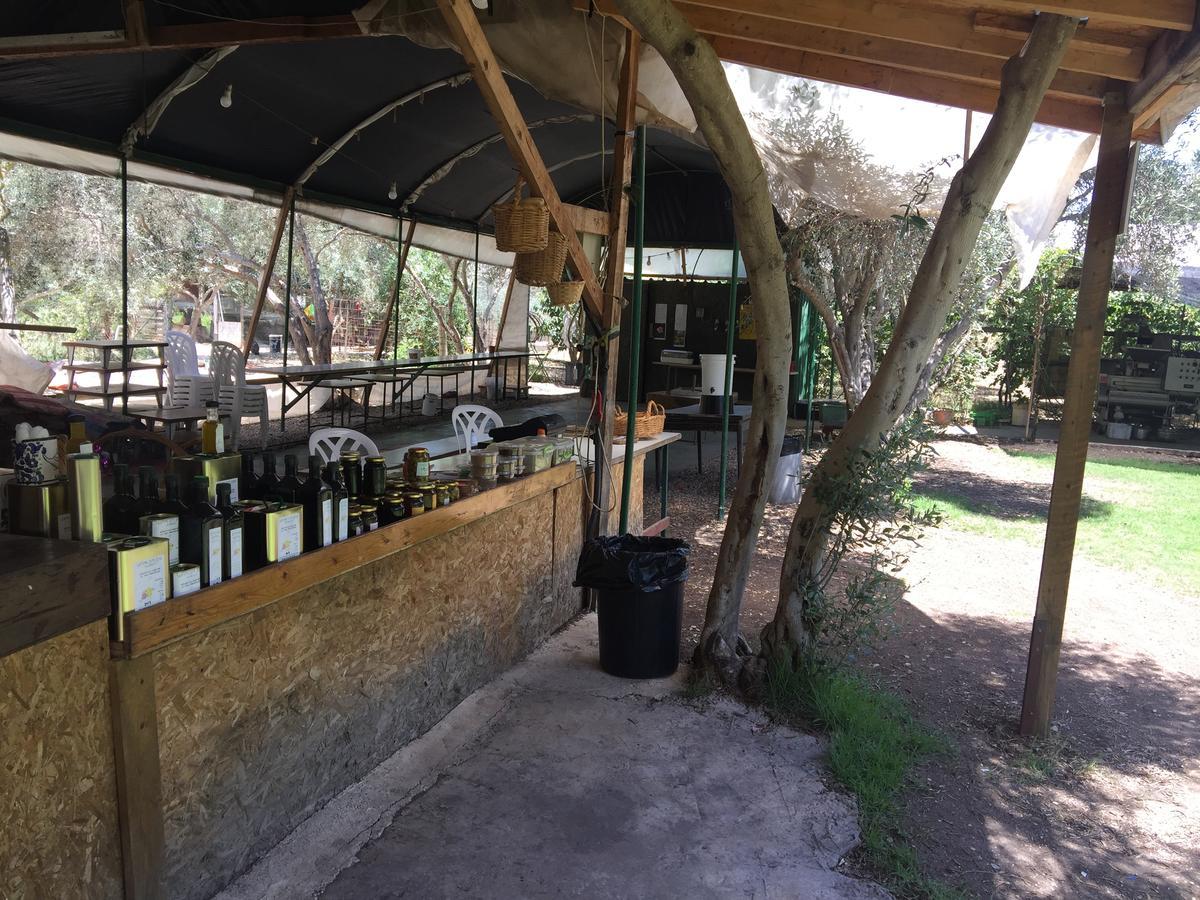Peace Tent Villa Kfar Rut Екстериор снимка