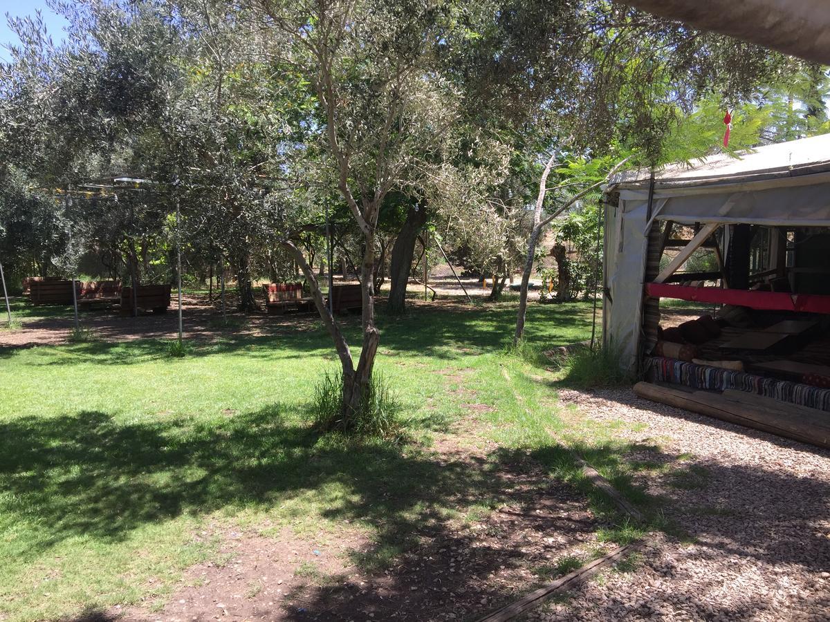 Peace Tent Villa Kfar Rut Екстериор снимка