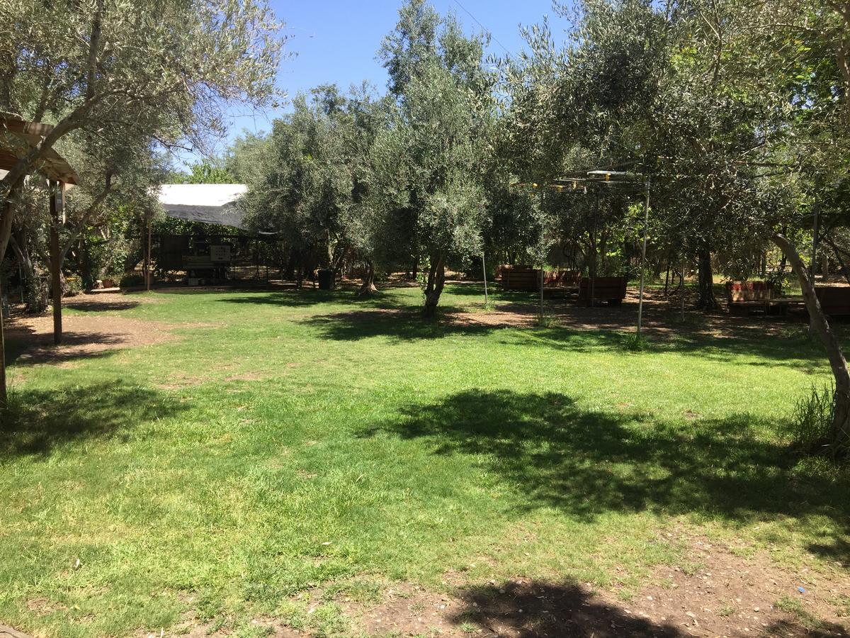 Peace Tent Villa Kfar Rut Екстериор снимка