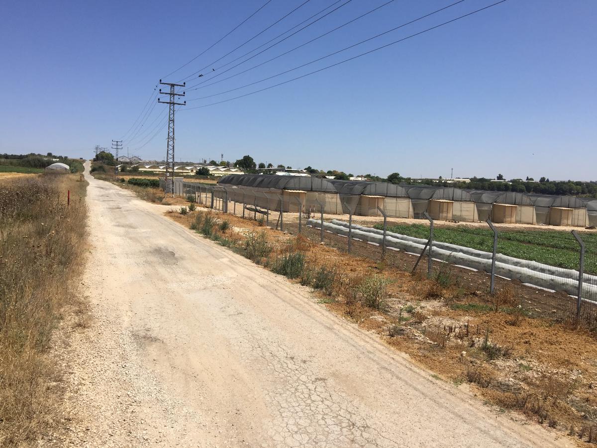 Peace Tent Villa Kfar Rut Екстериор снимка