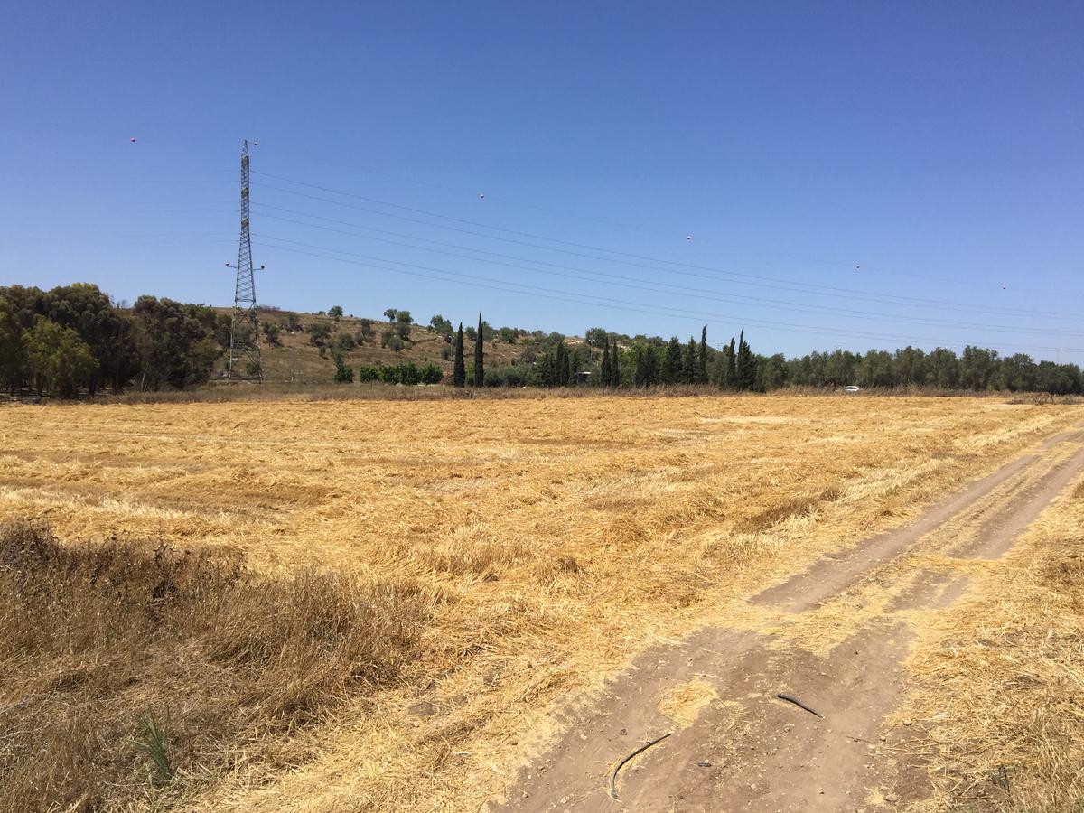Peace Tent Villa Kfar Rut Екстериор снимка